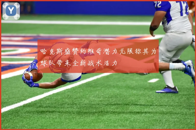 哈克斯盛赞约维奇潜力无限称其为球队带来全新战术活力