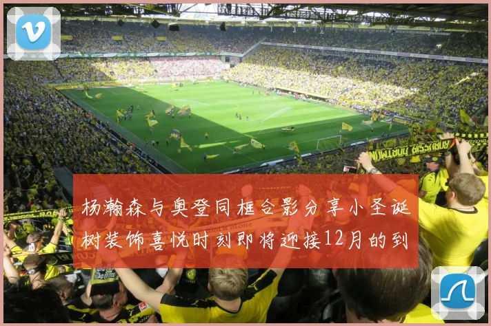 杨瀚森与奥登同框合影分享小圣诞树装饰喜悦时刻即将迎接12月的到来