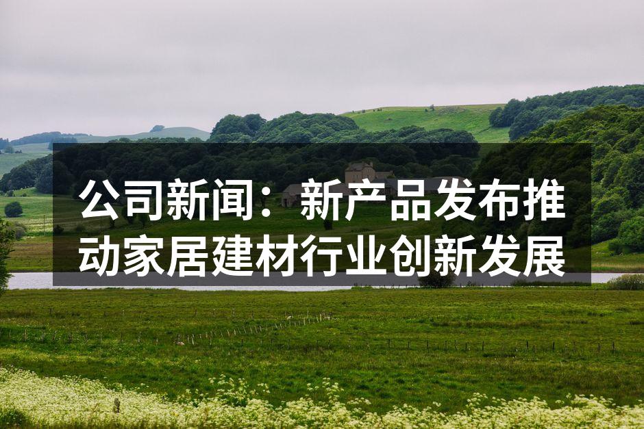 公司新闻：新产品发布推动家居建材行业创新发展